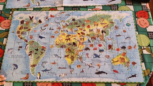 Customer photo review of Puzzle Observación Mundo de Animales
