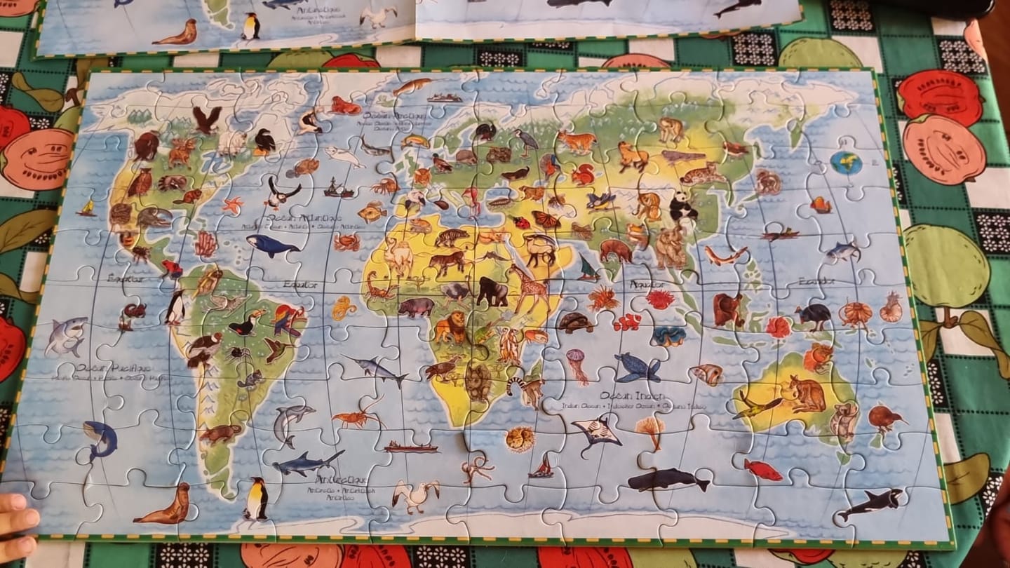 Customer photo review of Puzzle Observación Mundo de Animales
