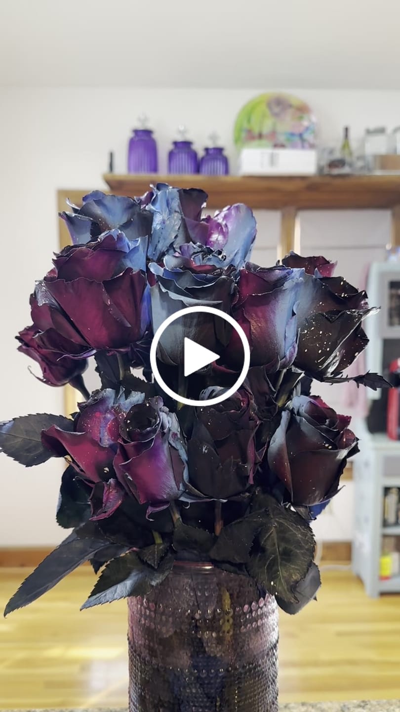Customer video review of Starry Galaxy Roses