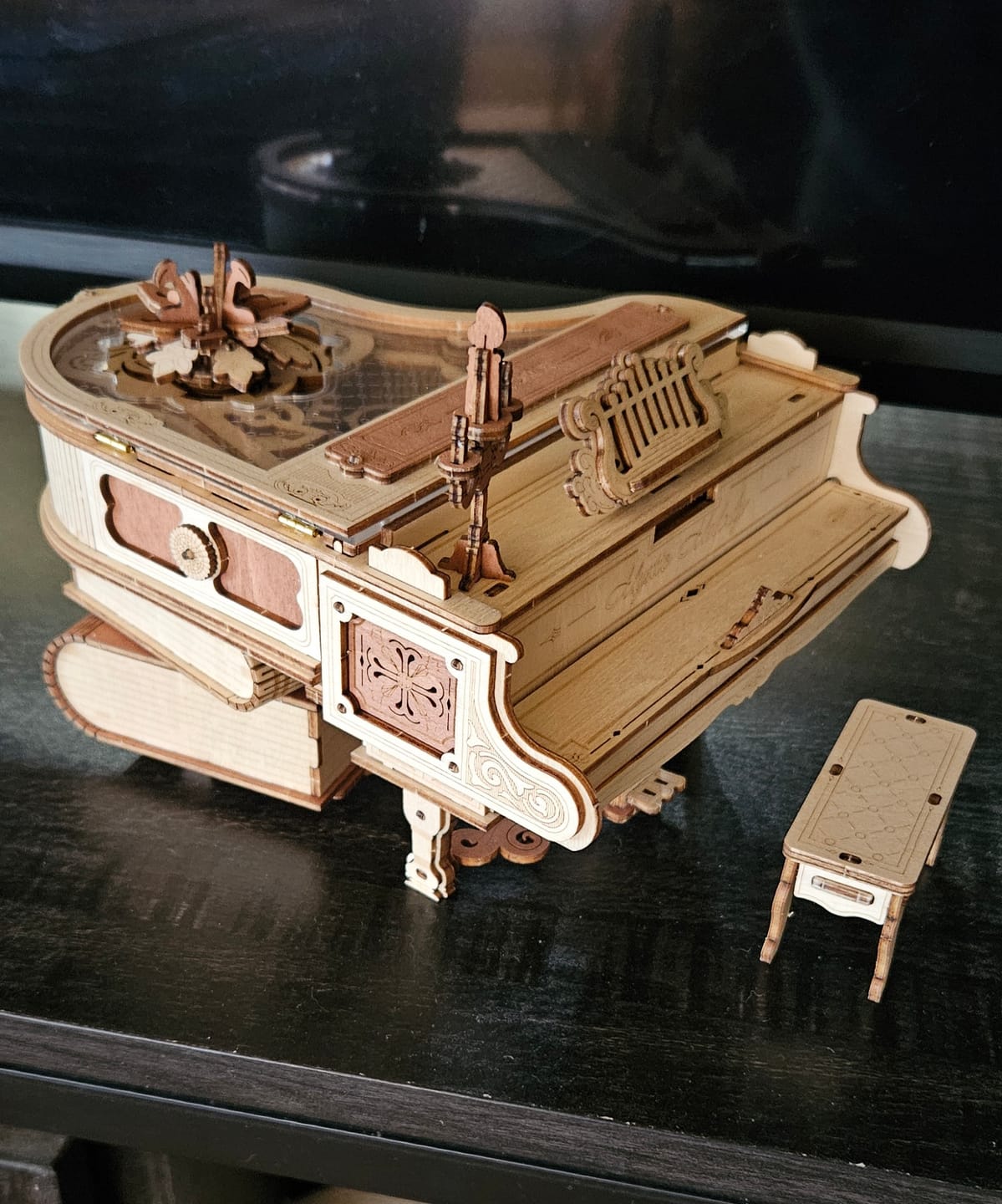 Customer photo review of Magic Piano