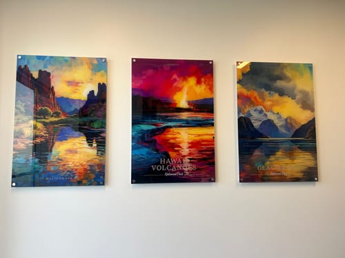 Customer photo review of Glacier Bay National Park Commemorative Poster: A Pop Art Tribute