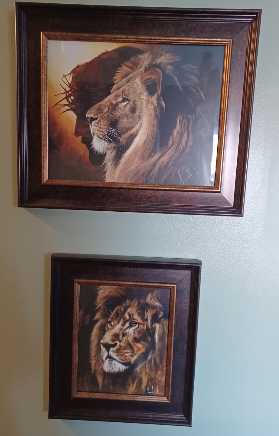 Customer photo review of Majestic Lion