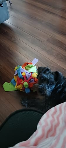 Customer photo review of Sniffle