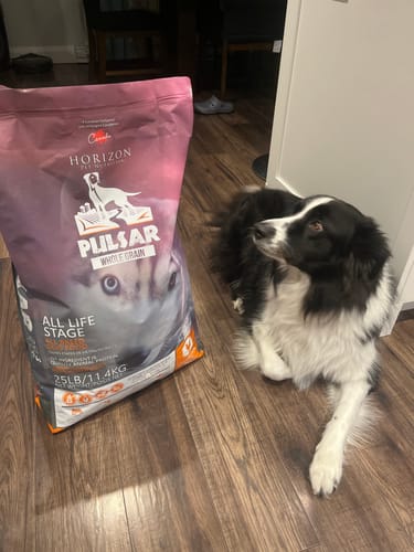 Customer photo review of Horizon Pulsar – Nourriture Croquettes avec Grains pour Chien