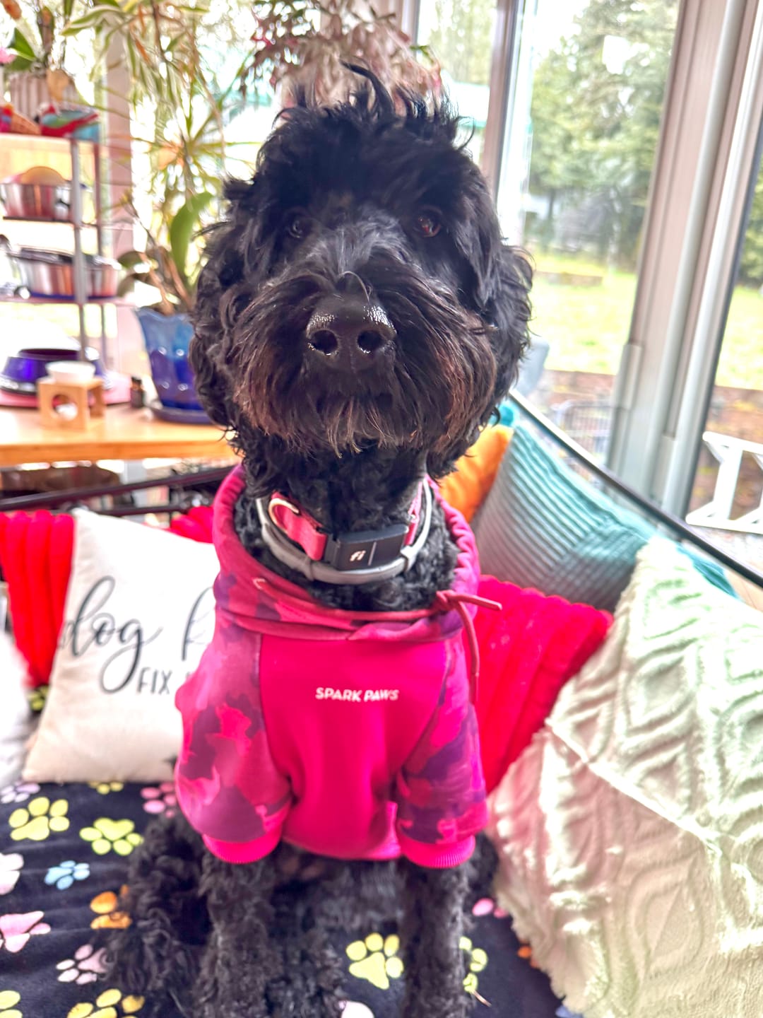 Customer photo review of Fuchsia Camo Human Hoodie