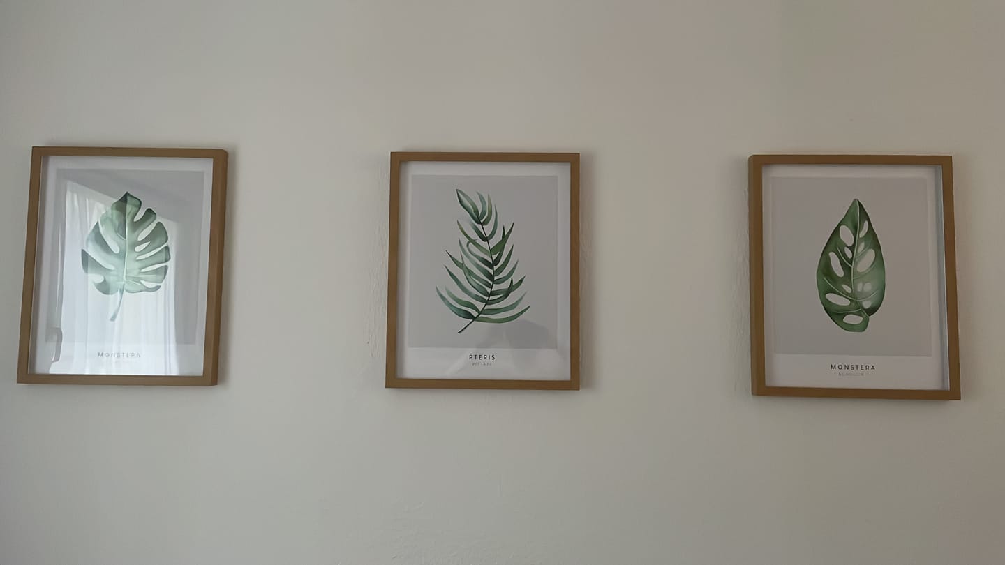 Customer photo review of Poster Monstera Adansonii Pflanze