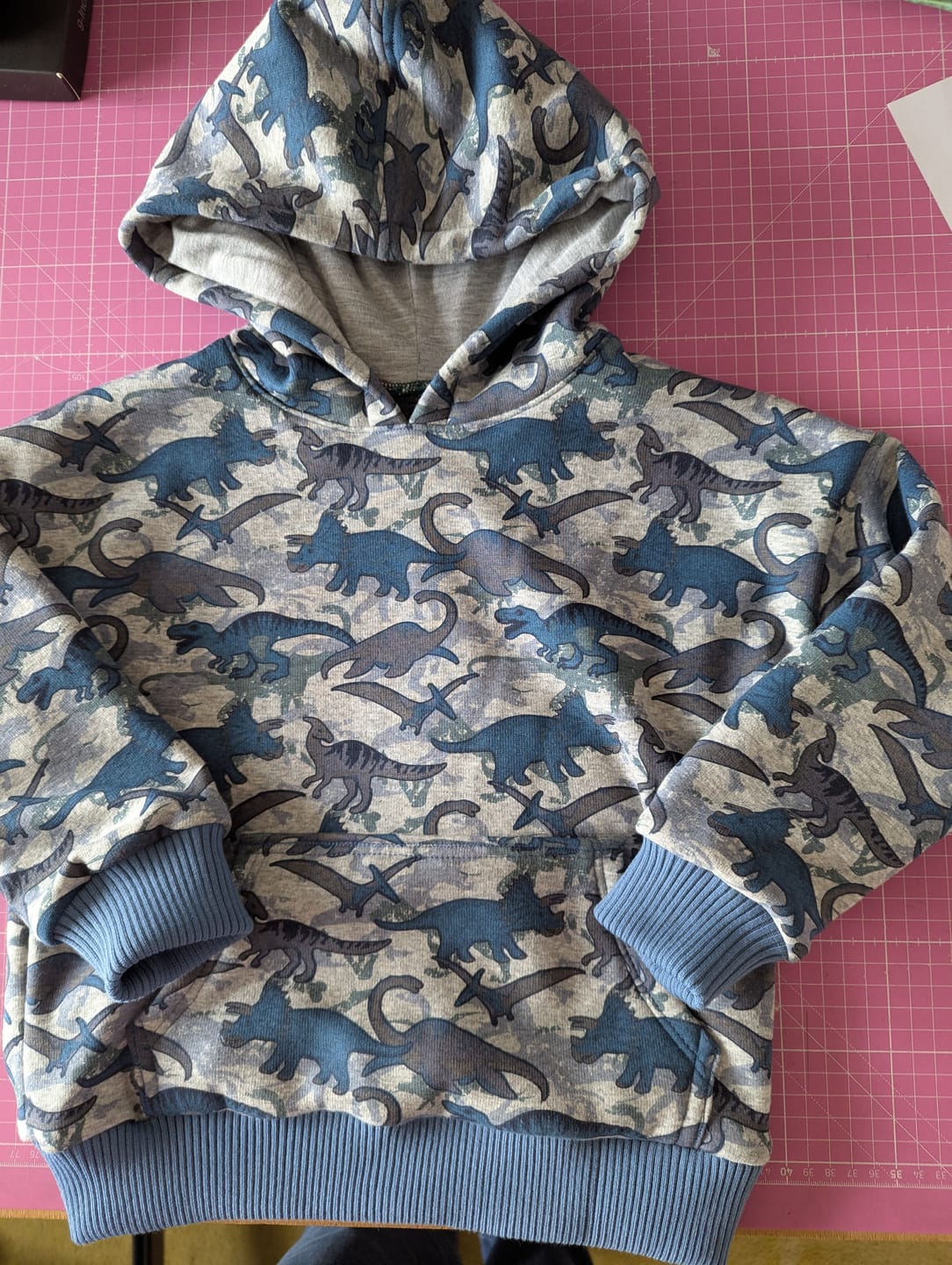 Customer photo review of Dinosaurs Sweatshirt Fabric