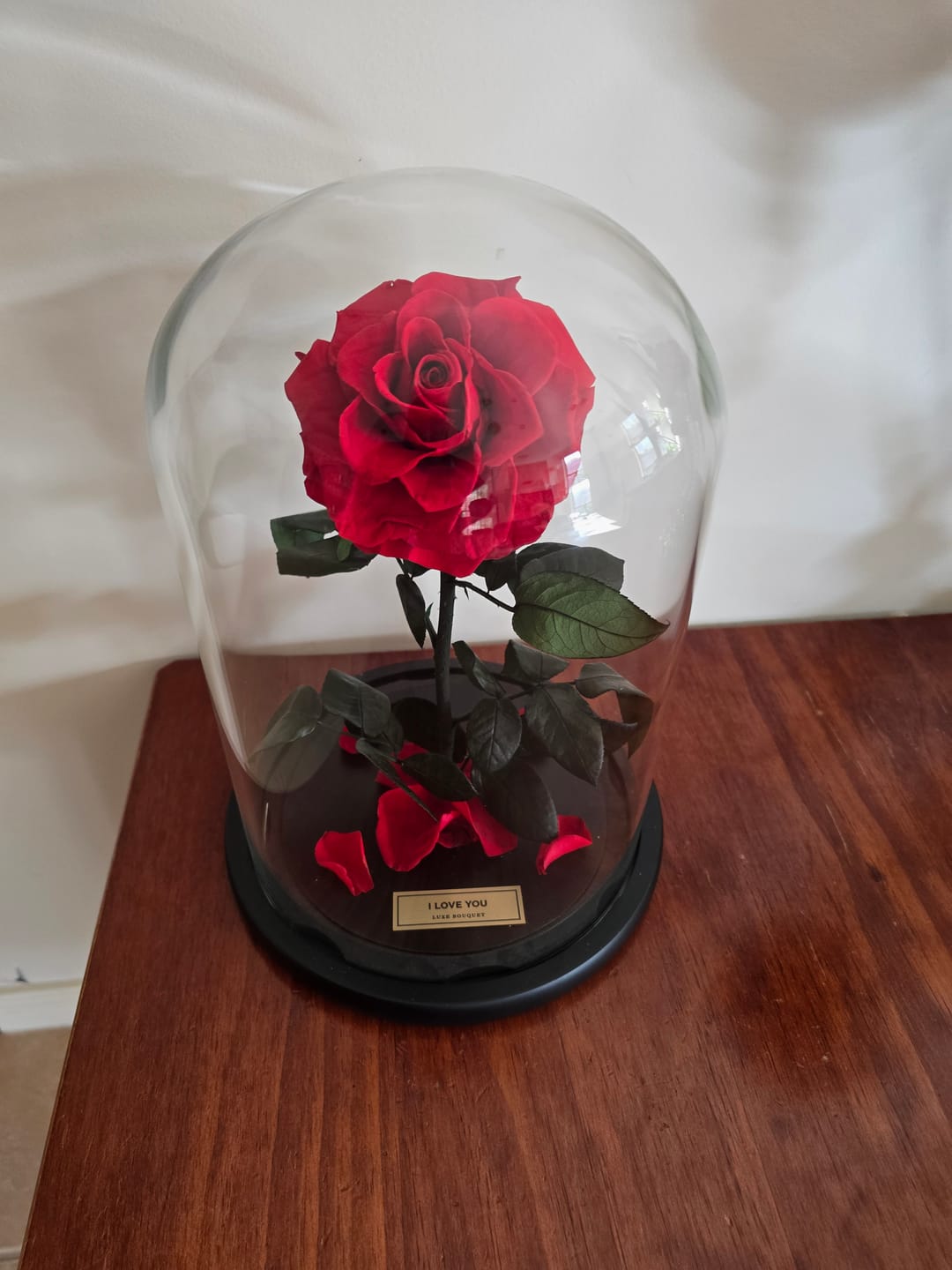 Customer photo review of The Everlasting Rose - Red