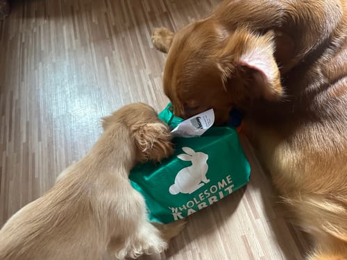 Customer photo review of Bone Broths