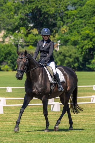 Customer photo review of Gutguard