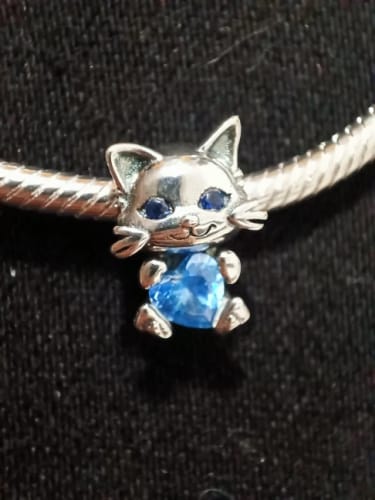 Customer photo review of 925 Sterling Silver Kitten with Blue Heart Charm