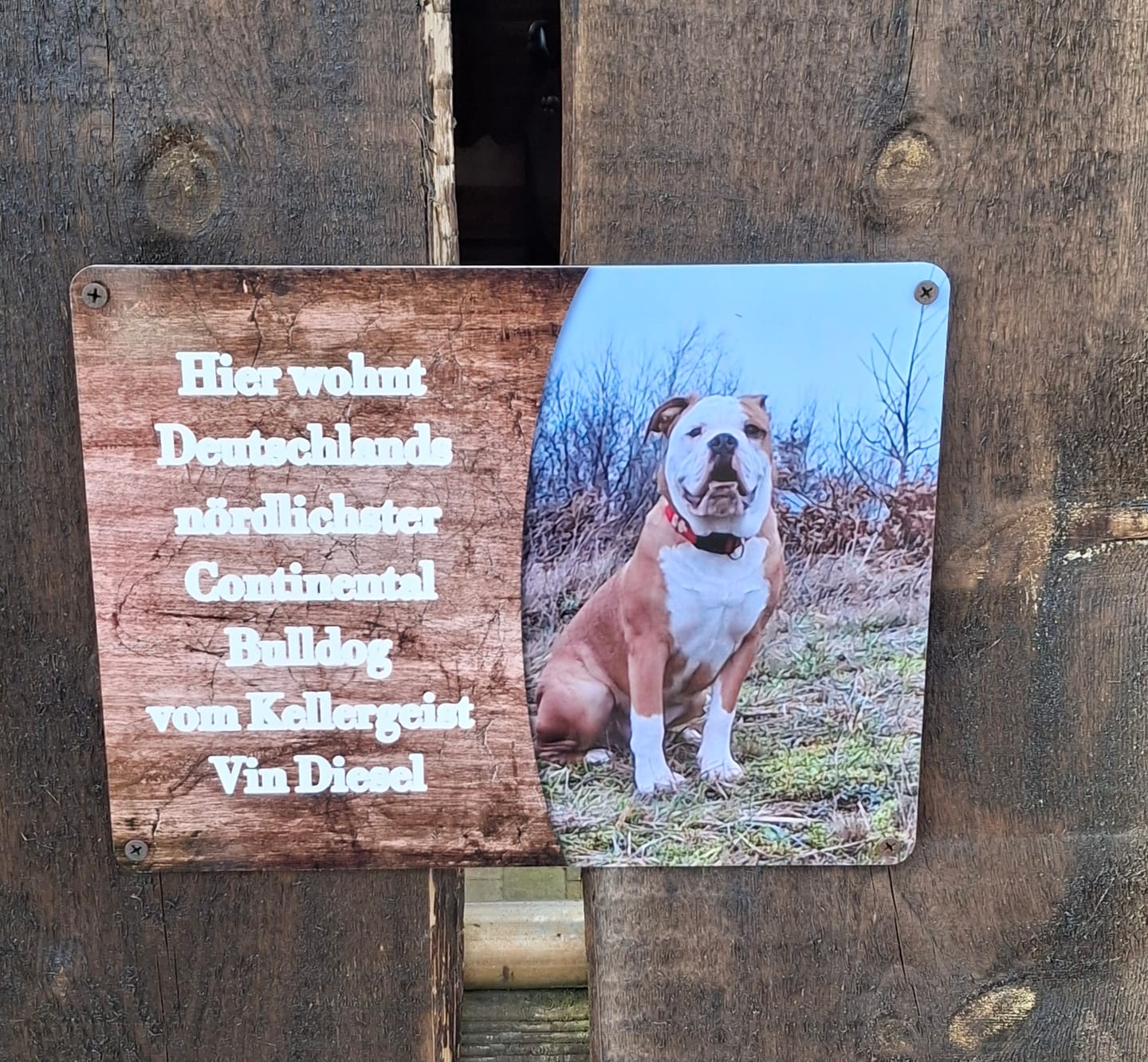 Customer photo review of Hunde-Türschild personalisiert mit Foto & Text (UV- und wetterfest)