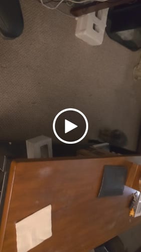 Wes S. review of SPEEDY TAIL 2.0 image 1 out of 1