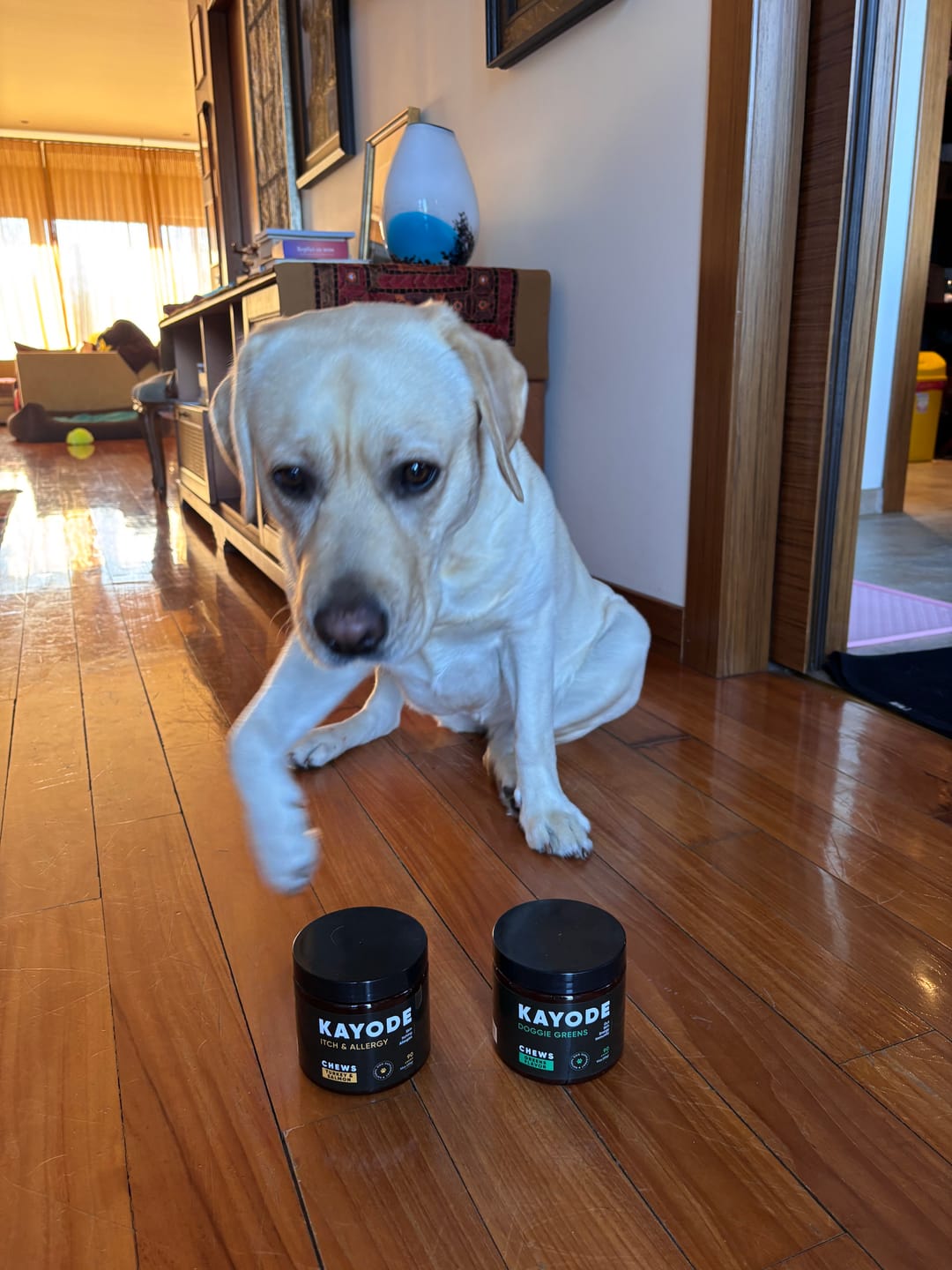 Customer photo review of Ultimate Digestion