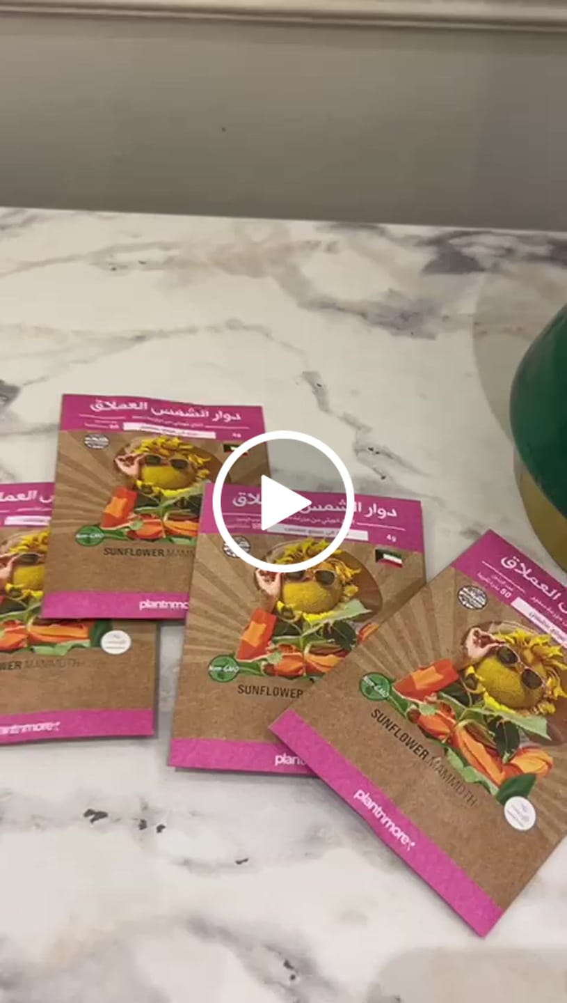 Customer video review of Sunflower Mammoth