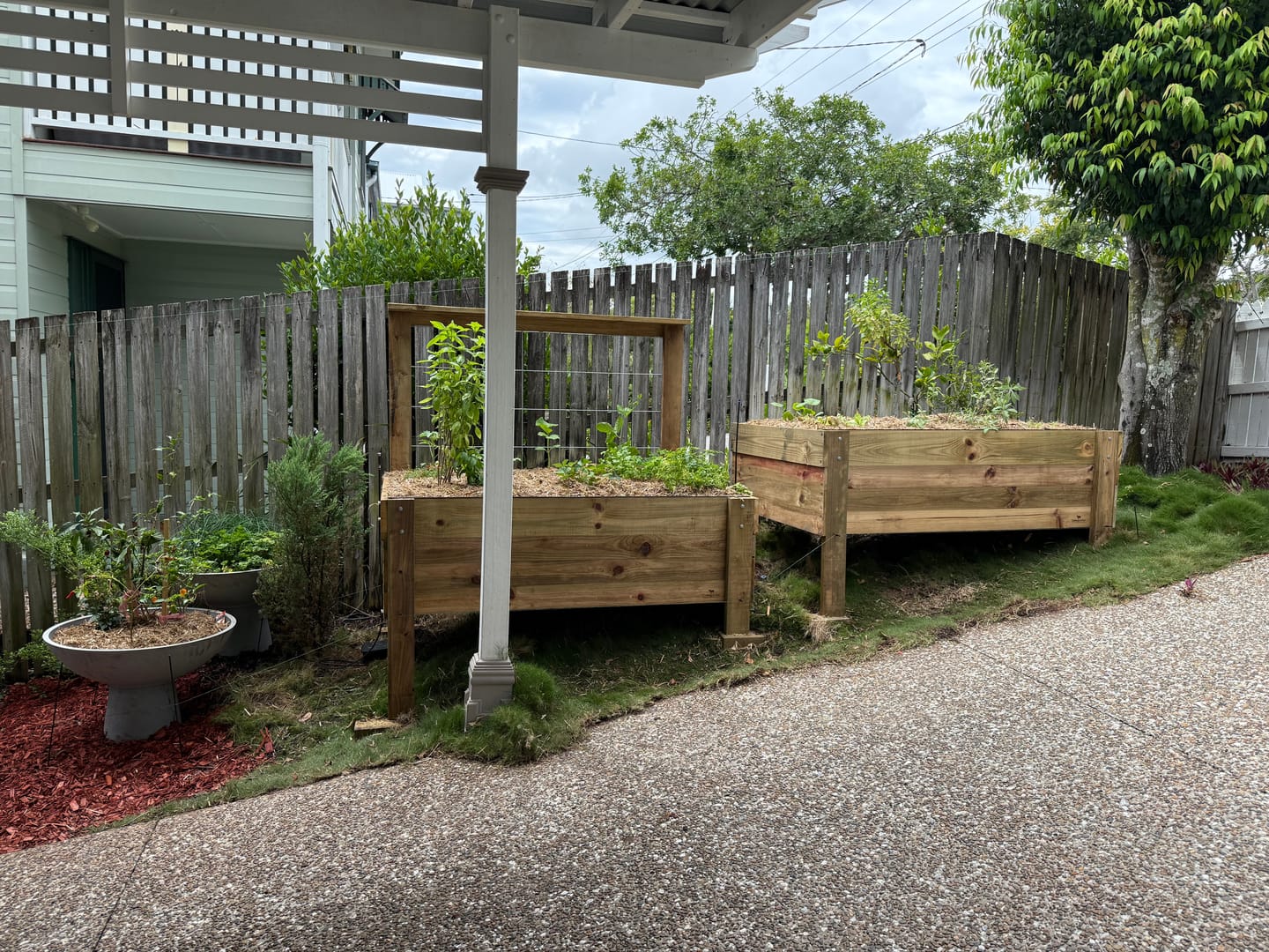 Customer photo review of LARGE Potting Mix Fill Service - Per Garden Bed/Tub