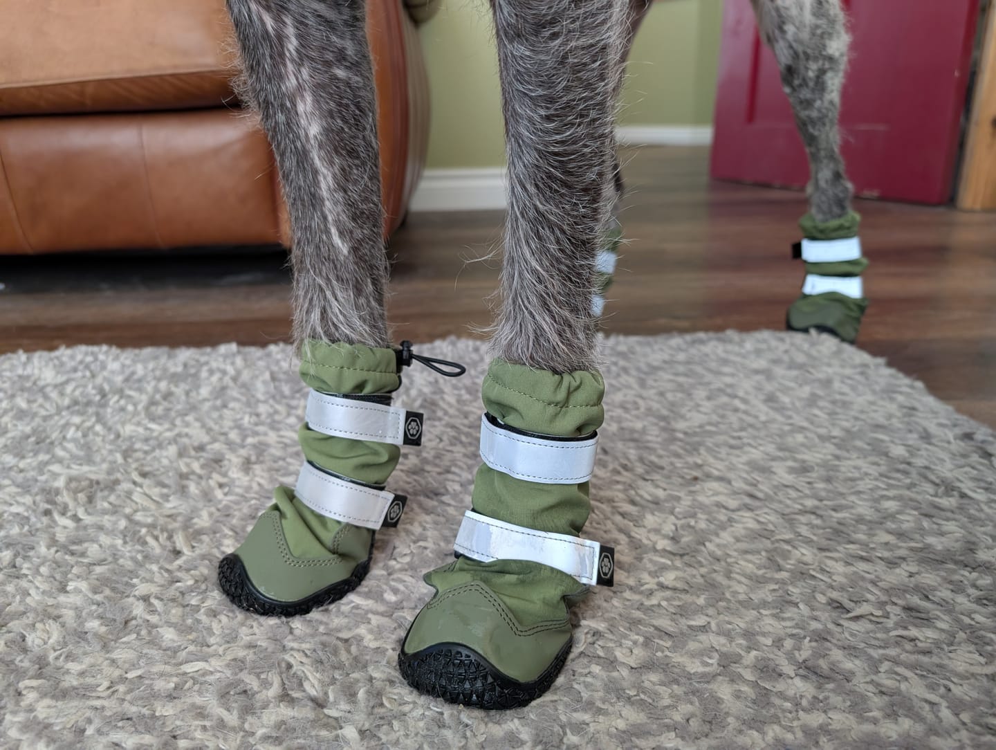 Customer photo review of Flex Shell Waterproof Dog Boots - Green