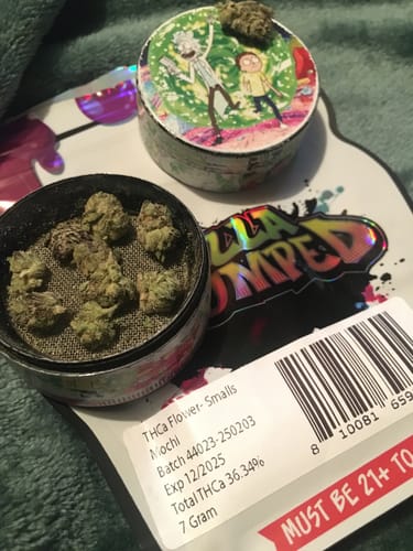 Customer photo review of Indoor Smalls