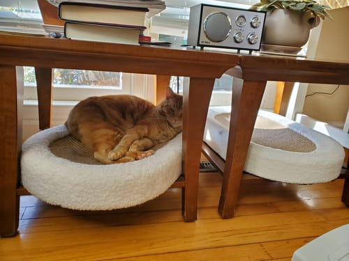 Customer photo review of ScratchLounge