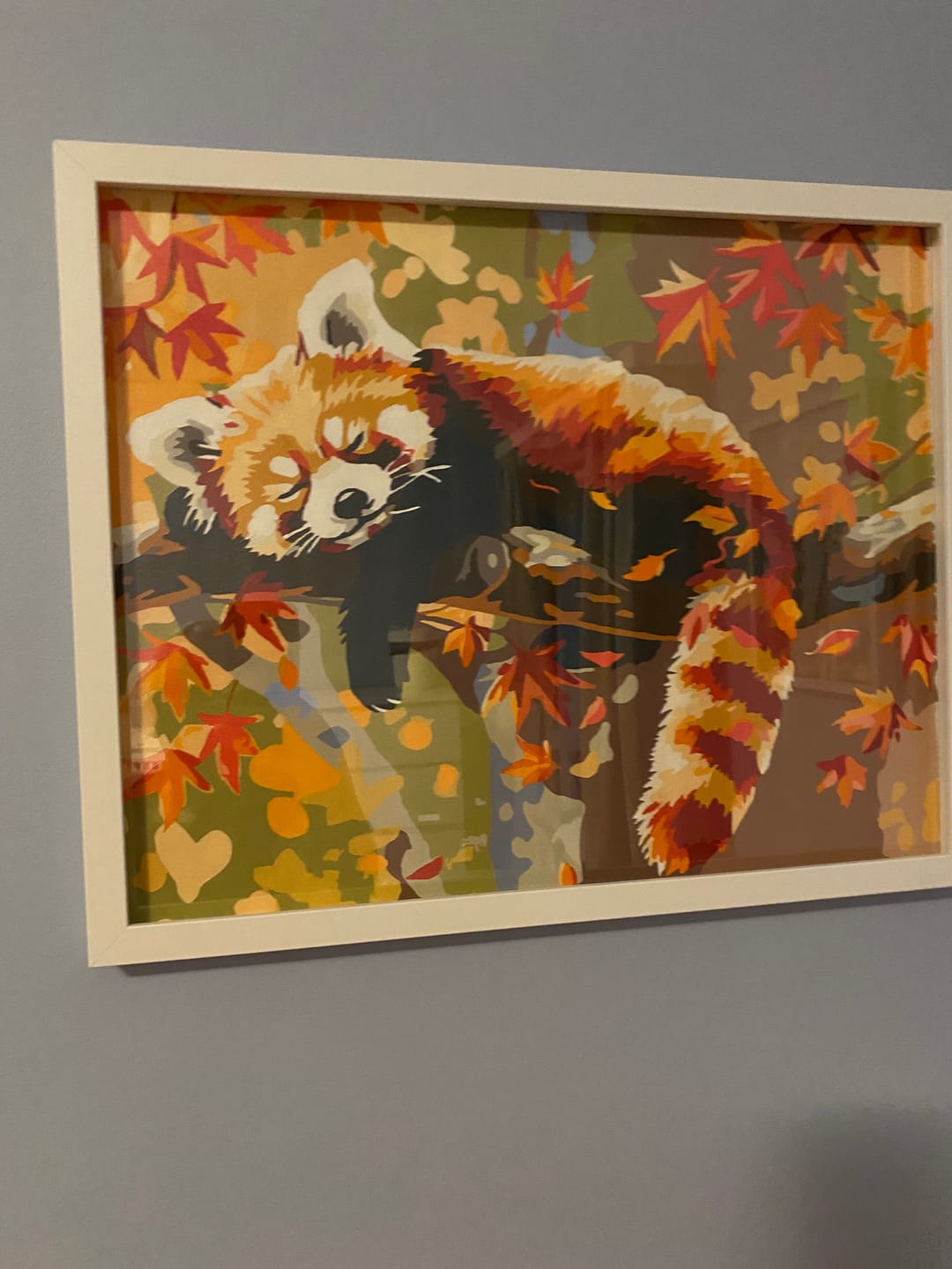 Customer photo review of Relaxed Red Panda