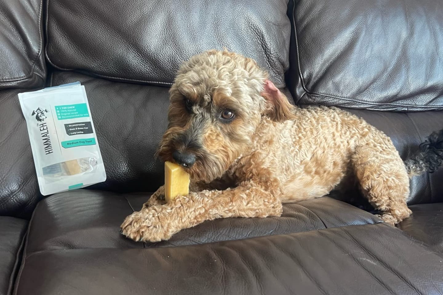 Customer photo review of Himalyan yak chew (MEDIUM)