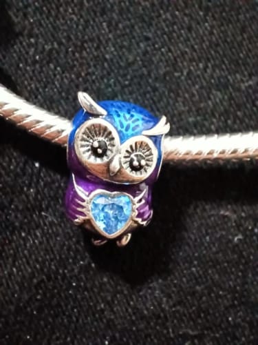 Customer photo review of 925 Sterling Silver Owl Charm