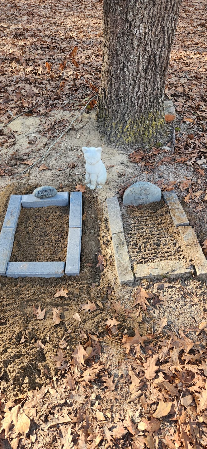 Customer photo review of Pet Grave Marker   Custom Engraved Pet Memorial Stone Paw Prints