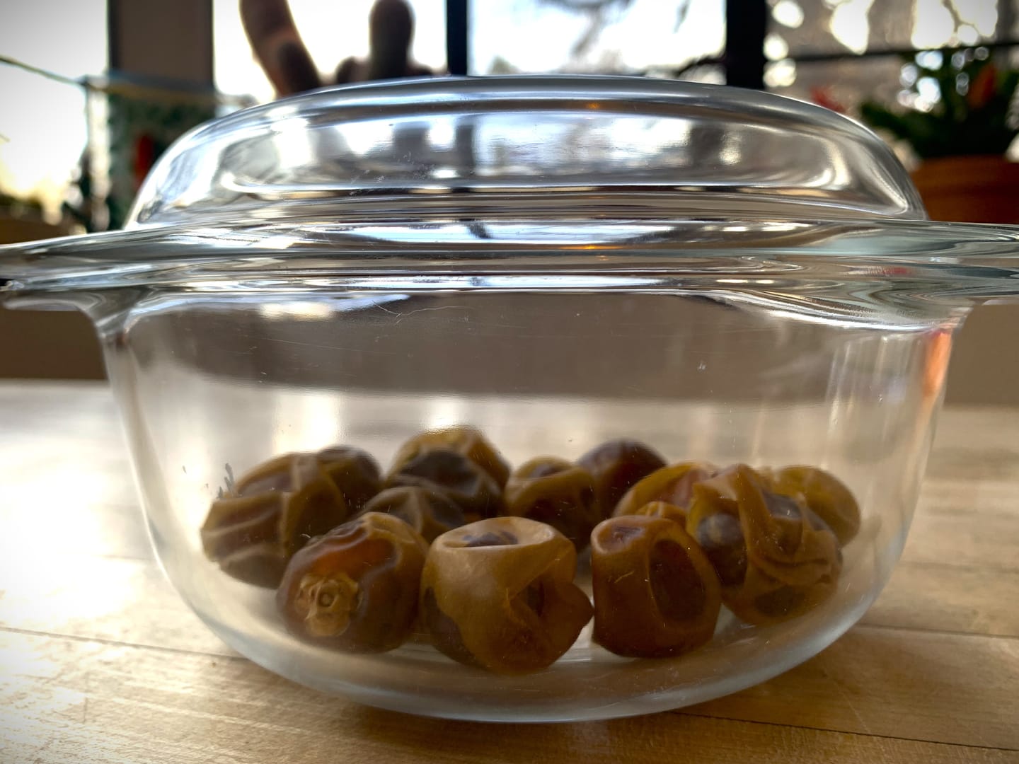 Customer photo review of Organic Barhi Dates Box