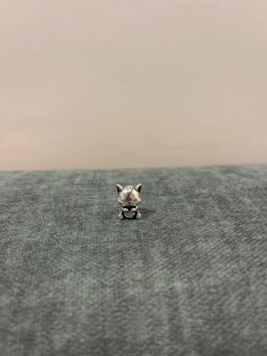 Customer photo review of 925 Sterling Silver Playful Kitten Charm