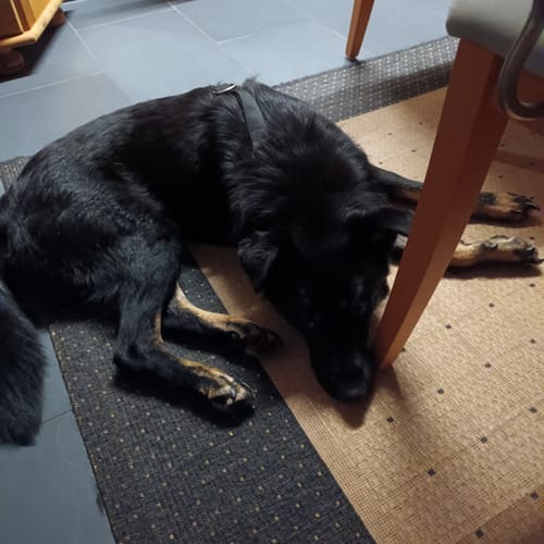 Customer photo review of Relax Time