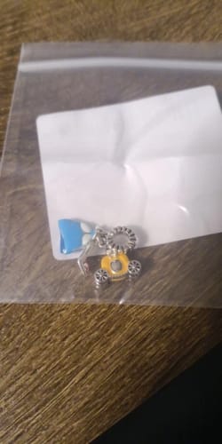 Customer photo review of 925 Sterling Silver Going to the Ball Charm