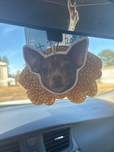 Customer photo review of Custom Air Freshener