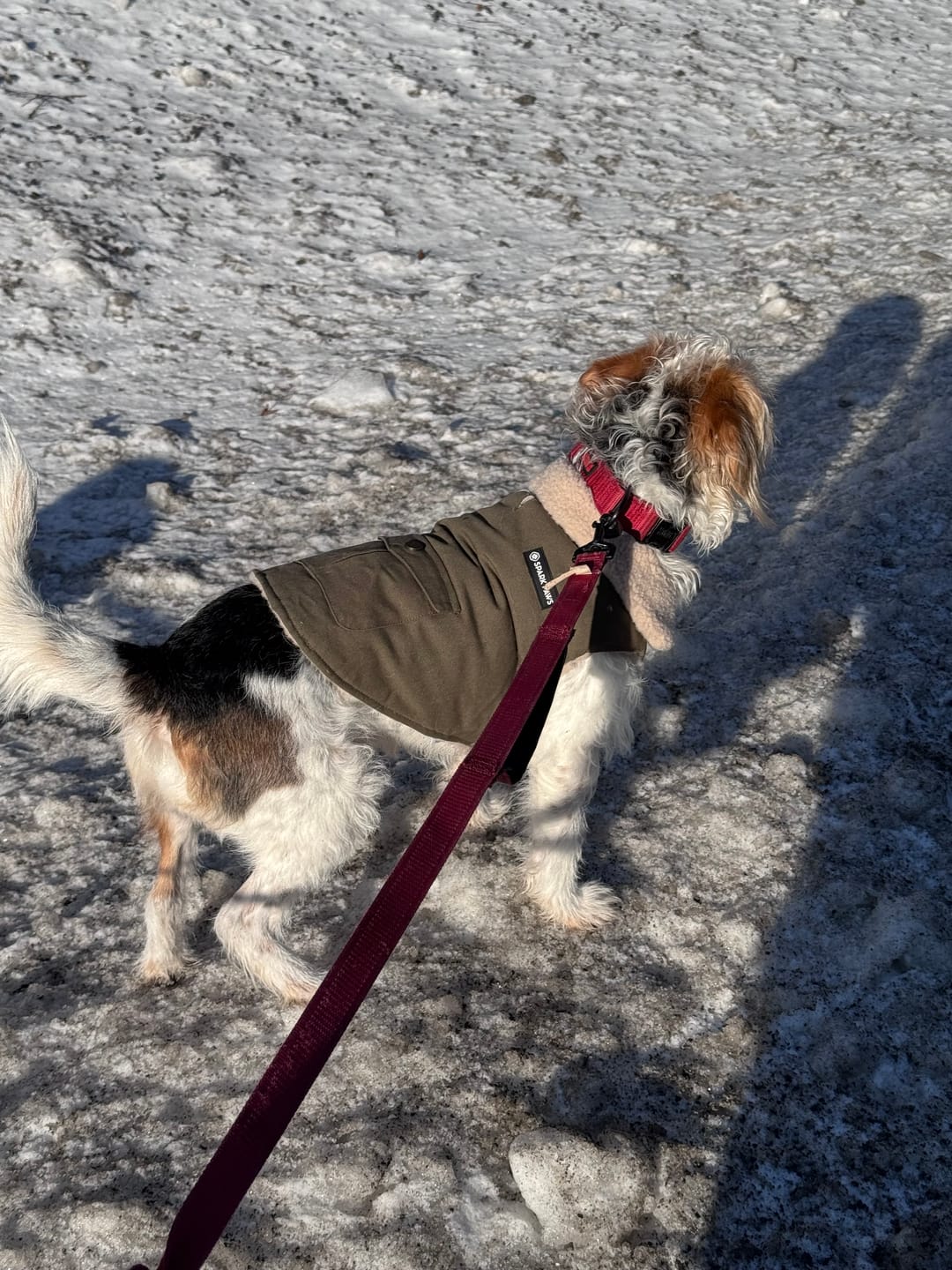 Customer photo review of Workdog Insulated Utility Jacket - Green