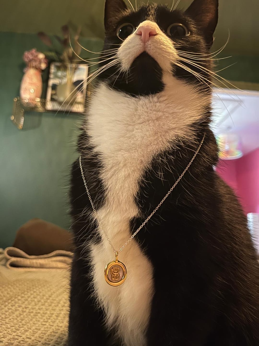 Customer photo review of Lucky Cat Charm Pendant Necklace