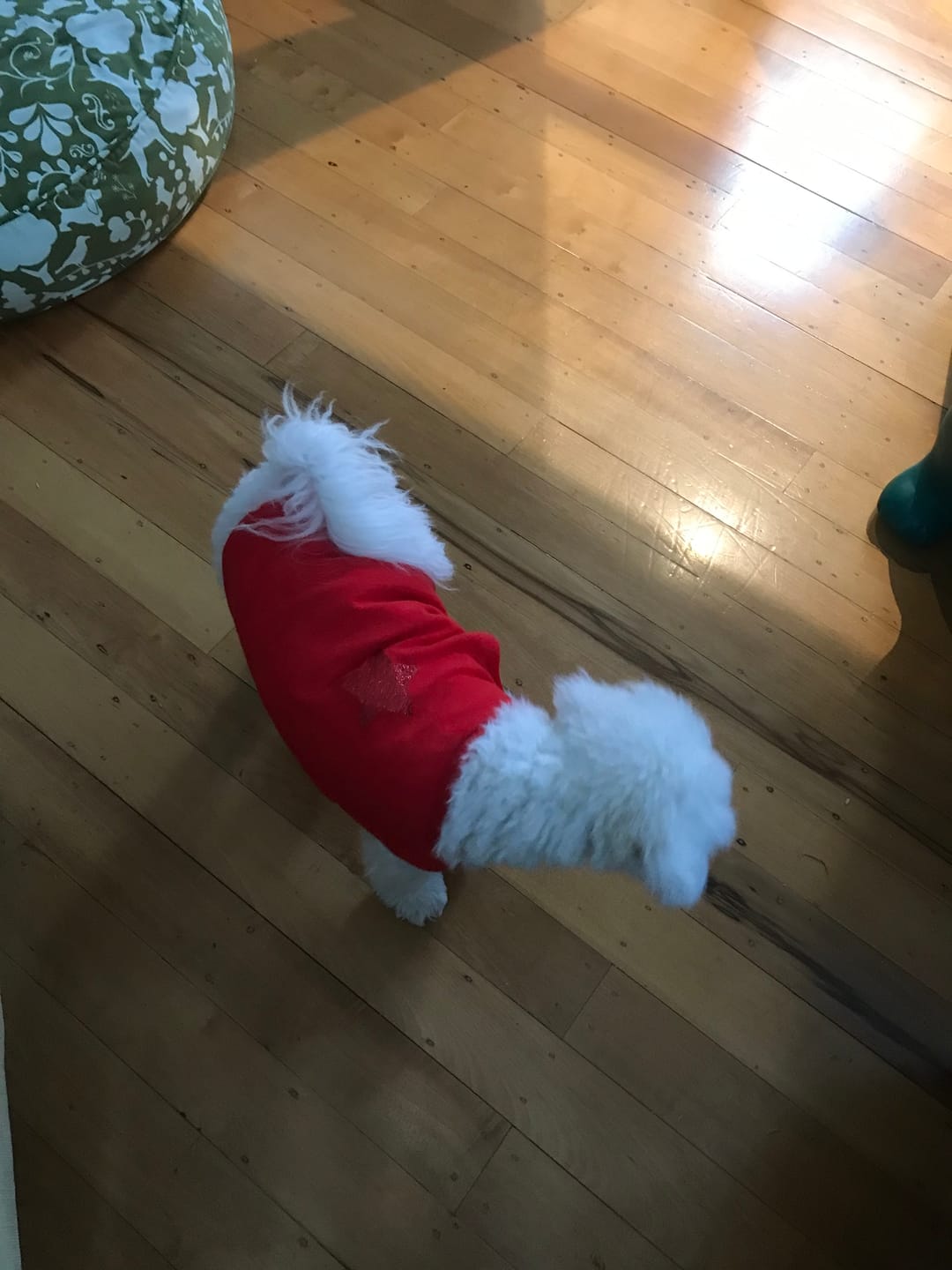 Customer photo review of Tank Top - Eve