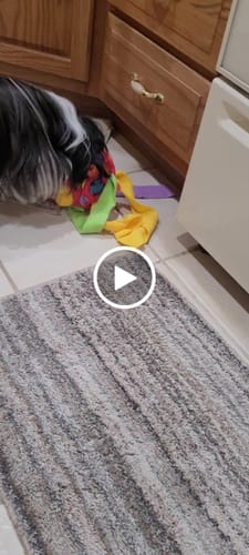 Customer video review of Sniffle