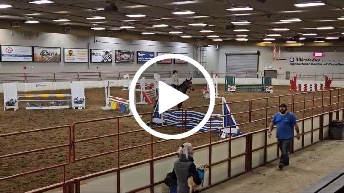 Customer video review of Sculpt Zip Breech
