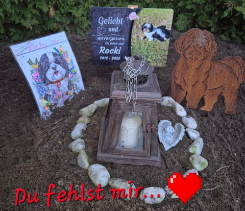 Customer photo review of Hunde Gedenktafel mit Foto & Spruch (UV- & Wetterfest)