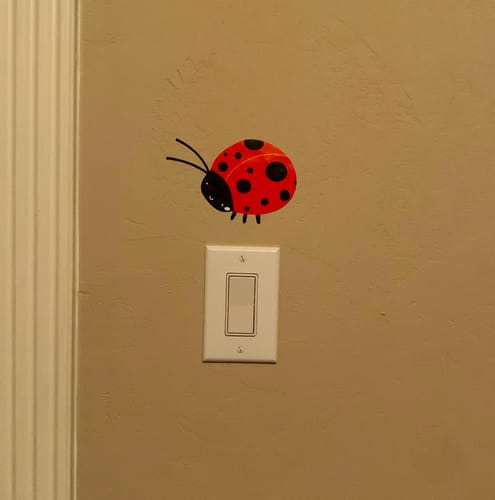 Customer photo review of Ladybug Stickers - Set of 6 Decals