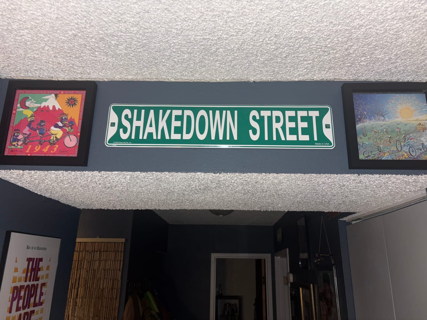 Customer photo review of Grateful Dead Shakedown Street Sign