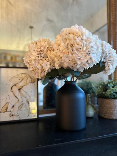 Fotorecensie van een klant over Grote Zijden Hortensia - Crème