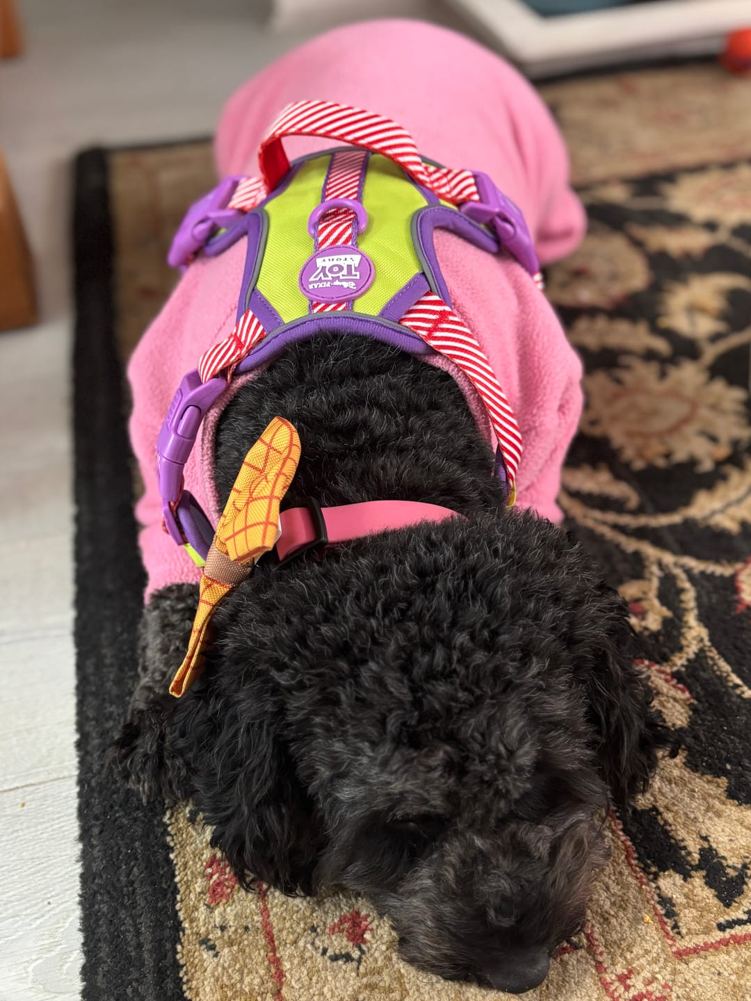 Customer photo review of Disney© Tough Trails™ Harness - Buzz Lightyear