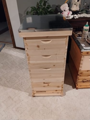 Customer photo review of BeeCastle Natural Hive 10 Frame 4 Layer Cedar Wood Beehive Kit:Elevate Your Beekeeping Journey Naturally! Includes 2 Deep Boxes and 2 Super Boxes with Premium Wooden Frames and Beeswax Plastic Foundation