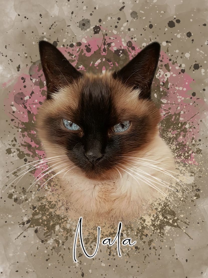 Customer photo review of Portrait Aqua Art