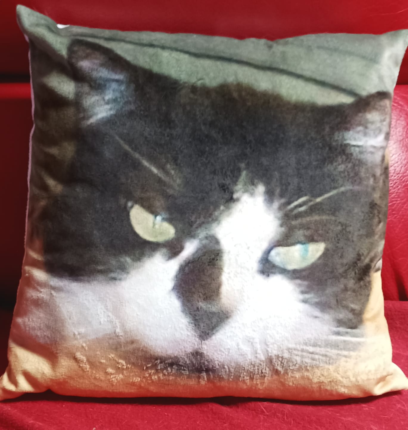 Customer photo review of Avec photo - Coussin personnalisé