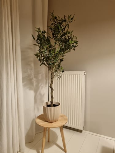 Customer photo review of Kunst Olijfboom 120cm