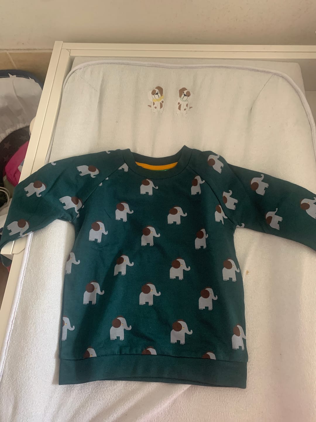 Customer photo review of Elephants Never Forget Raglan Sweatshirt