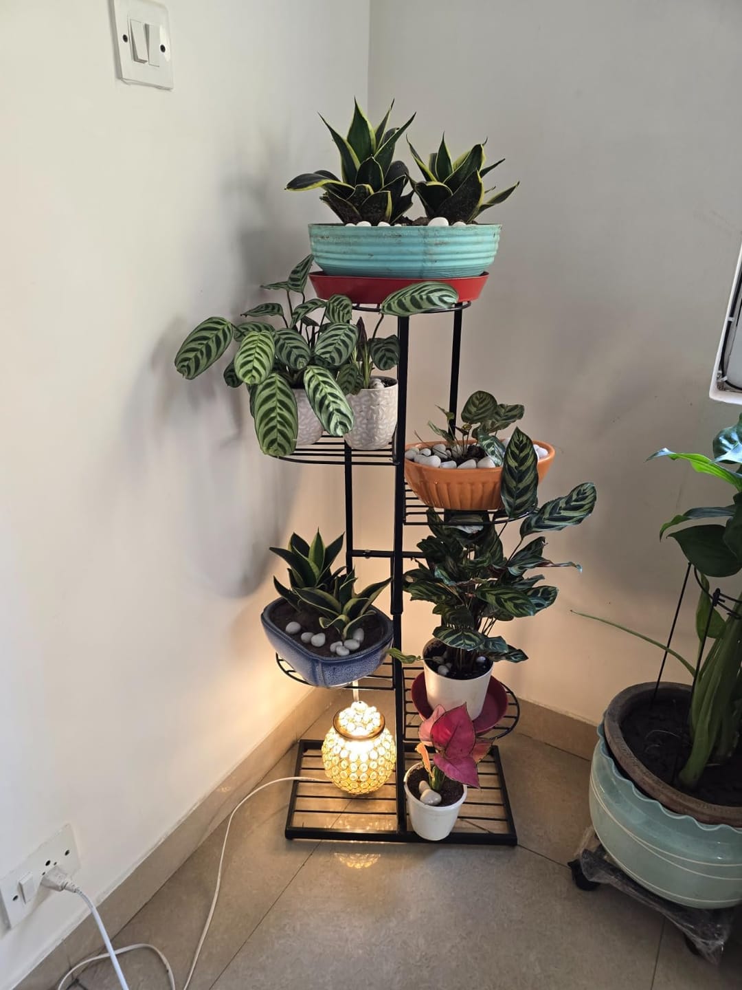 Customer photo review of Plant Stand Metal 6 Tier 7 Potted Multiple Flower Pot Holder Shelf Indoor Outdoor Planter Display Shelving Unit For Patio Garden Corner