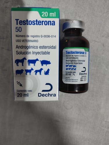 Customer photo review of Testosterona 50