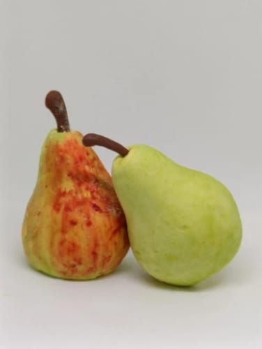 Customer photo review of Pineapple Pear Peach Fruit Series Cake Silicone Mold Mango Orange Baking Mousse Mould Strawberry French Dessert Mousse Cake Mold